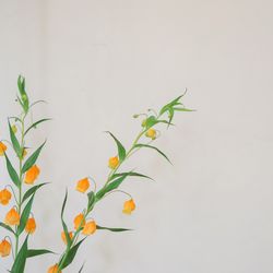 ザ ナンザンハウスの写真18枚目