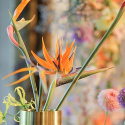 ザ ナンザンハウスの写真35枚目