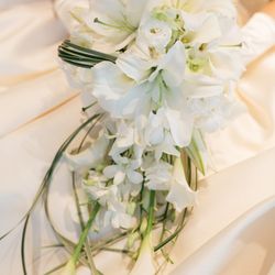 ルーキスの写真16枚目