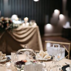 ルーキスの写真12枚目