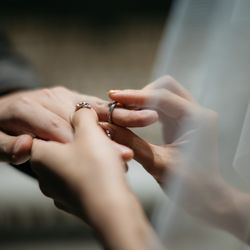 ルーキスの写真25枚目