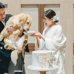 アコールハーブの写真30枚目