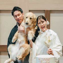 アコールハーブの写真23枚目