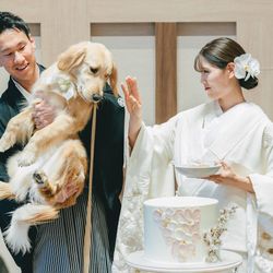 アコールハーブの写真5枚目