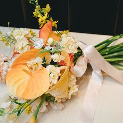 アコールハーブの写真2枚目