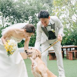 アコールハーブの写真10枚目