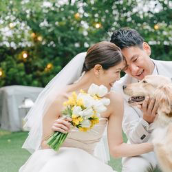 アコールハーブの写真8枚目