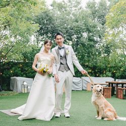 アコールハーブの写真26枚目