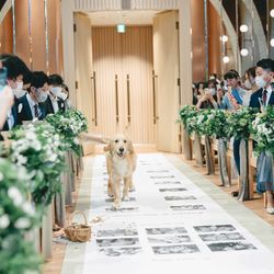 アコールハーブの写真23枚目