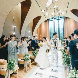 アコールハーブの写真8枚目