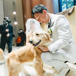 アコールハーブの写真11枚目