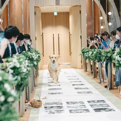 アコールハーブの写真29枚目