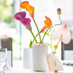 Mia Viaの写真28枚目