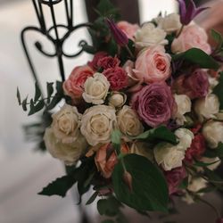 ララシャンス 博多の森の写真33枚目