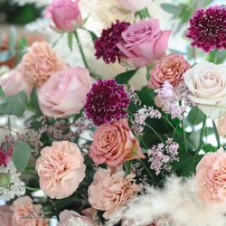 ララシャンス 博多の森の写真28枚目