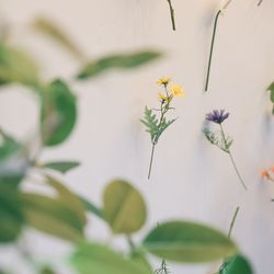 ザ ナンザンハウスの写真10枚目