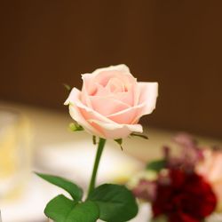 カサ・デ・アンジェラ青山の写真16枚目