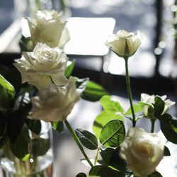 ザ・ガーデンオリエンタル大阪の写真16枚目