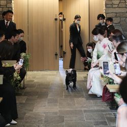 ザ・ガーデンオリエンタル大阪の写真12枚目