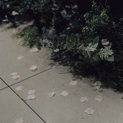 ウィズザスタイルフクオカ の写真25枚目