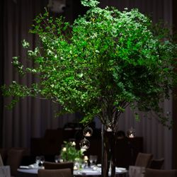 パレスホテル東京の写真8枚目