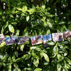 ザ・ガーデンオリエンタル大阪の写真22枚目