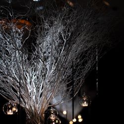 パレスホテル東京の写真2枚目