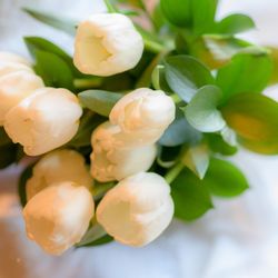 ザ・テンダーハウスの写真14枚目