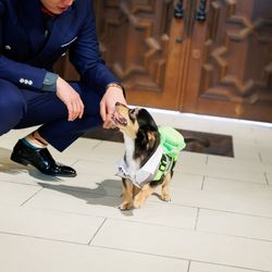 ノートルダムマリノアの写真35枚目