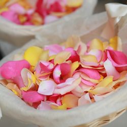 グランド ハイアット 東京の写真21枚目