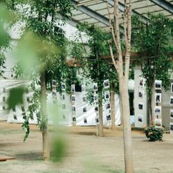 THE FARMHOUSE -GRIM-の写真20枚目