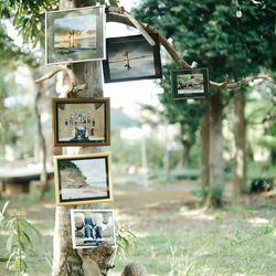 THE FARMHOUSE -GRIM-の写真13枚目