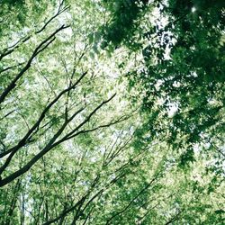 THE FARMHOUSE -GRIM-の写真29枚目