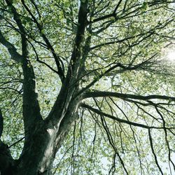 THE FARMHOUSE -GRIM-の写真11枚目