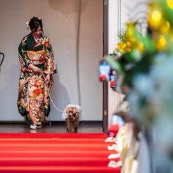 カサ・デ・アンジェラ青山の写真1枚目