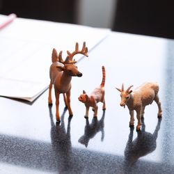 ANAインターコンチネンタルホテル東京の写真29枚目