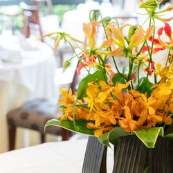 クラシカ表参道の写真31枚目