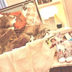 アクアガーデン迎賓館 岡崎の写真24枚目