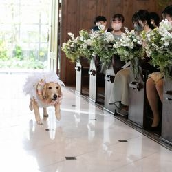 オランジュベールの写真16枚目