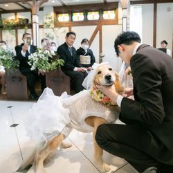 オランジュベールの写真7枚目