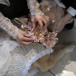 オランジュベールの写真17枚目