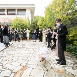 オランジュベールの写真21枚目