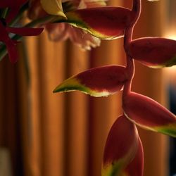 ウィズザスタイルフクオカ の写真25枚目