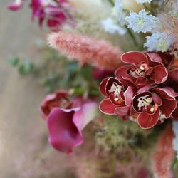 ララシャンス 博多の森の写真28枚目