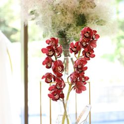 ララシャンス 博多の森の写真6枚目