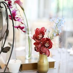 ララシャンス 博多の森の写真6枚目