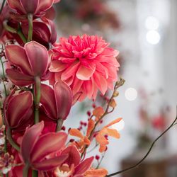 ノートルダム神戸の写真26枚目