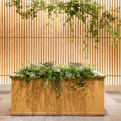 TRUNK HOTELの写真29枚目