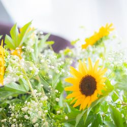 星野リゾート 軽井沢ホテルブレストンコートの写真12枚目