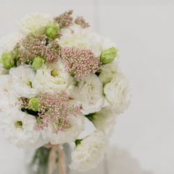 ララシャンスガーデン 東京ベイの写真29枚目